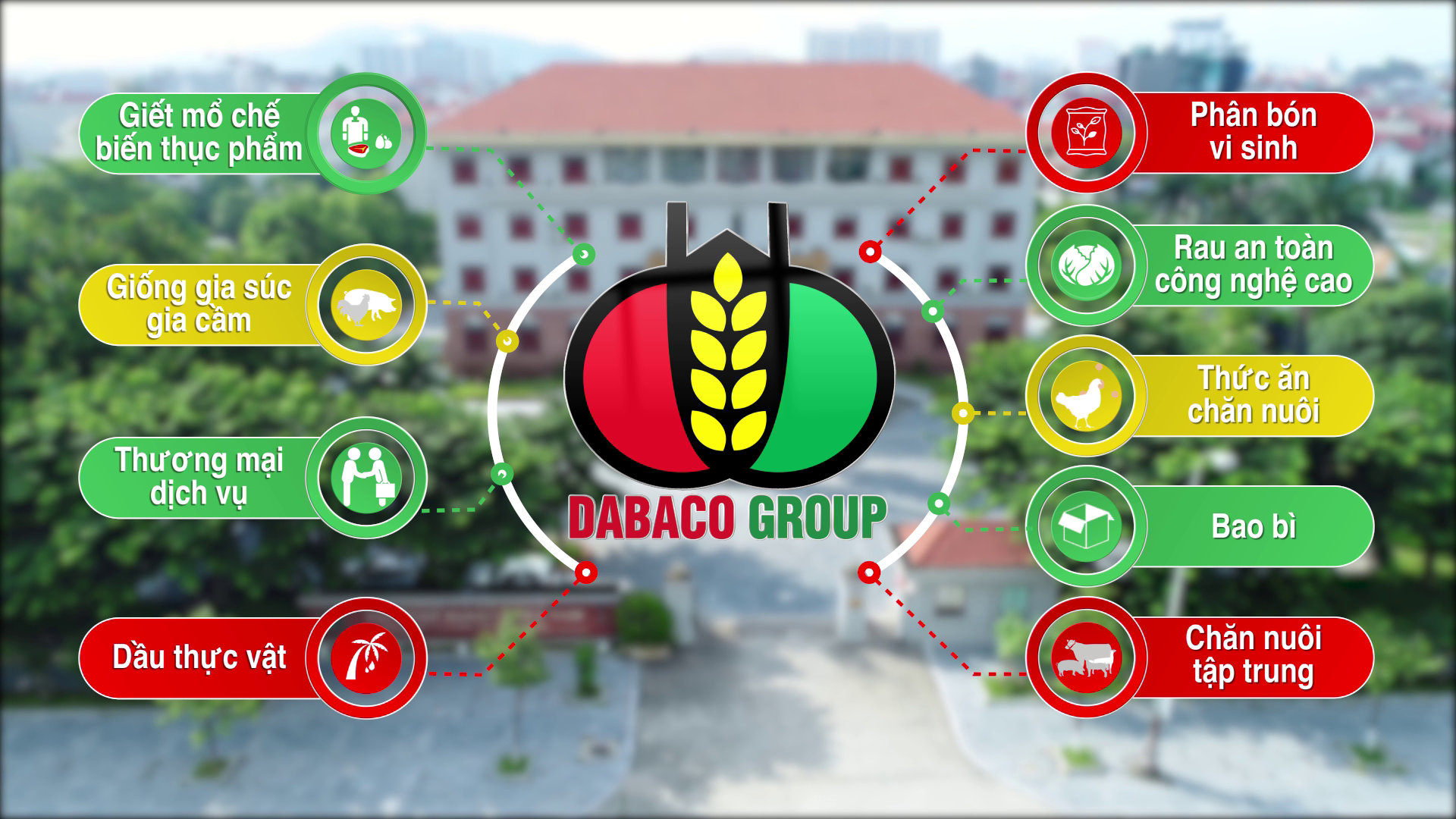 Lợi nhuận Dabaco tiếp đà suy giảm