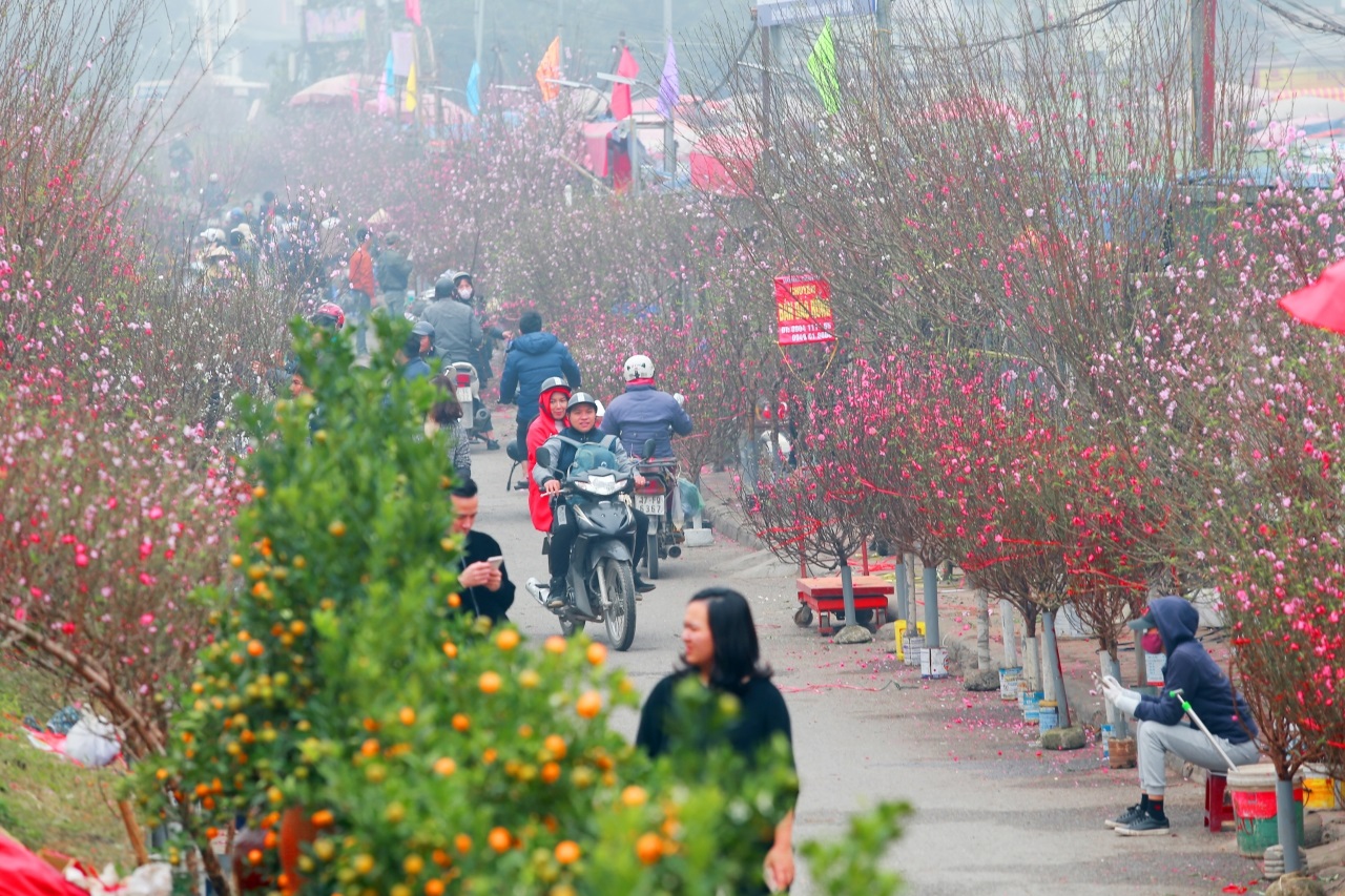 Hà Nội cấm nhiều tuyến phố phục vụ chợ hoa Tết Nhâm Dần