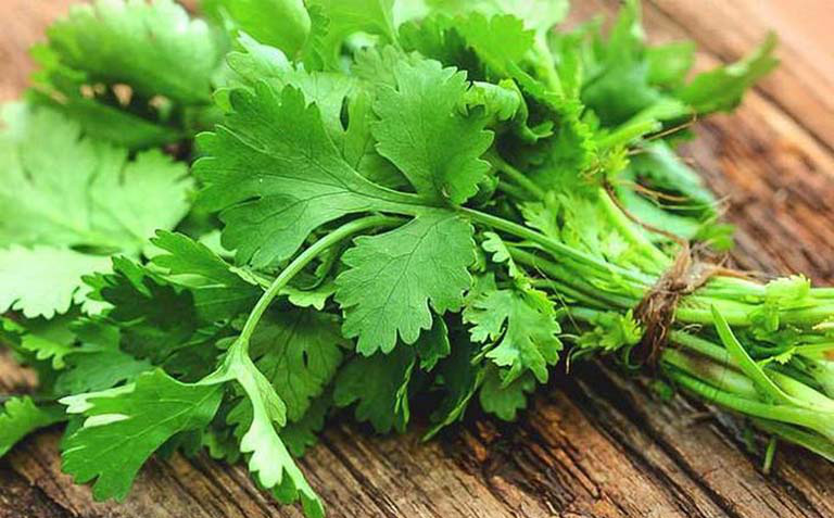 Loại cây quý lọc máu cực tốt, giảm cholesterol xấu: Người Việt chỉ biết dùng làm gia vị