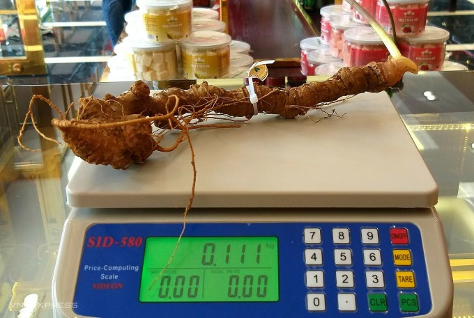 Sâm Ngọc Linh 30 triệu đồng một lạng vẫn hút khách