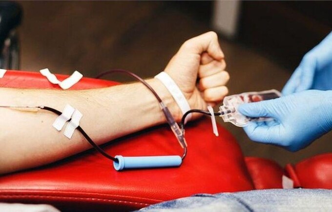 Hiến máu hoặc huyết tương thường xuyên giúp giảm 30% chất độc trong cơ thể