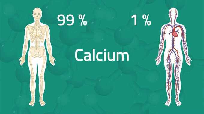 Vai trò quan trọng của canxi đối với cơ thể