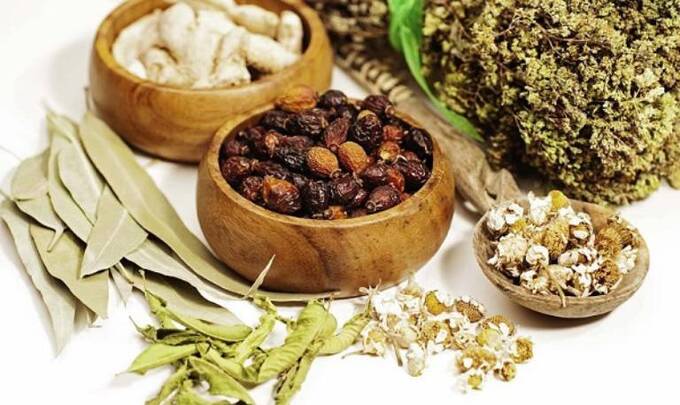 Dược liệu điều trị trào ngược dạ dày thực quản