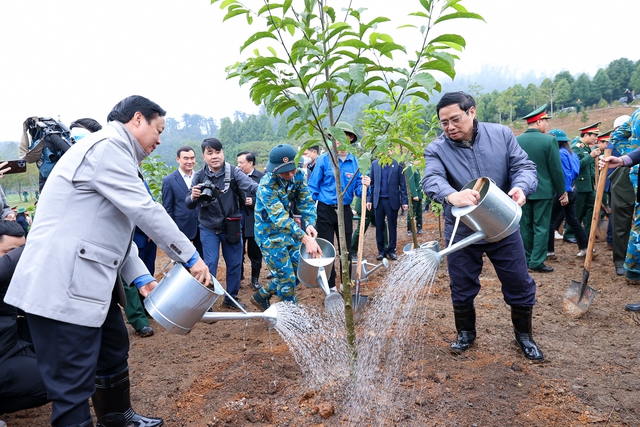 Thủ tướng Phạm Minh Chính phát động Tết trồng cây “Đời đời nhớ ơn Bác Hồ”