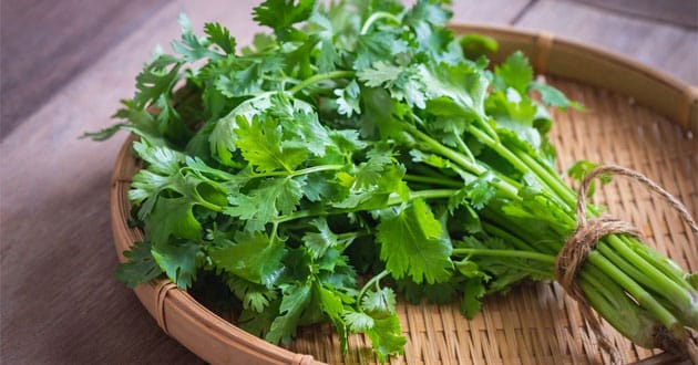 Những thảo dược ăn sống là tốt nhất