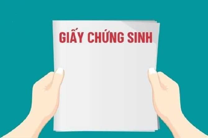 Hà Nội thực hiện liên thông dữ liệu giấy chứng sinh, giấy báo tử lên cổng giám định bảo hiểm y tế
