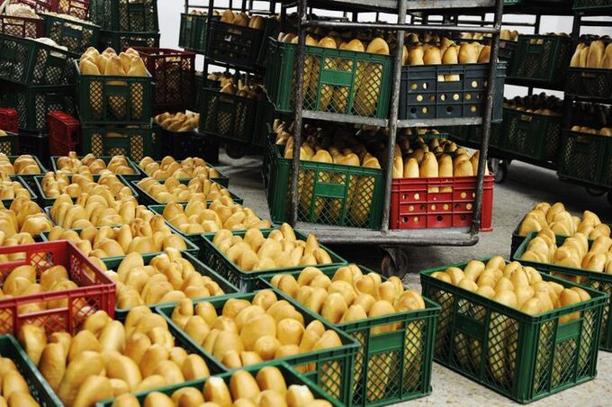 Điều gì xảy ra với cơ thể khi bạn ăn bánh mì?