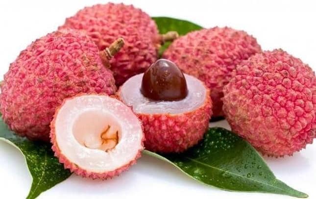 Quả vải mang đến nhiều lợi ích cho sức khỏe