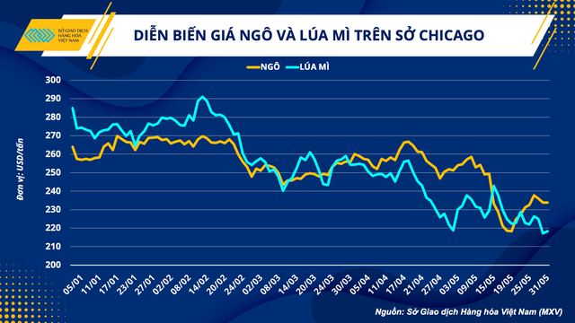 Giá nguyên liệu thức ăn chăn nuôi: Duy trì xu hướng giảm
