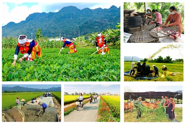Tháo gỡ khó khăn, thúc đẩy triển khai thực hiện 3 chương trình mục tiêu quốc gia
