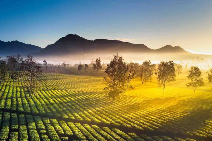 Quy chế hoạt động của Hội đồng điều phối vùng Tây Nguyên