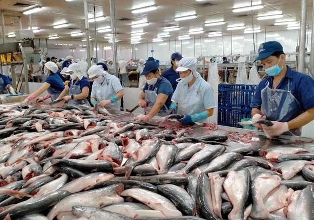 KINH TẾ THỊ TRƯỜNG Cảnh báo lừa đảo thương mại khi xuất khẩu sang thị trường Malaysia