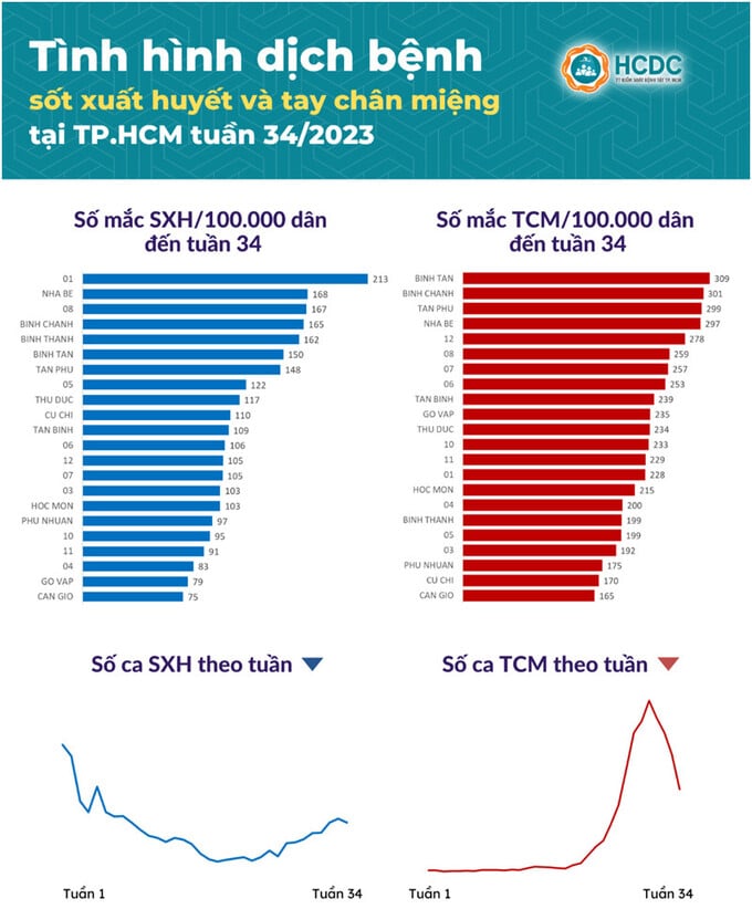 TPHCM ghi nhận hơn 1.300 ca tay chân miệng trong tuần 34