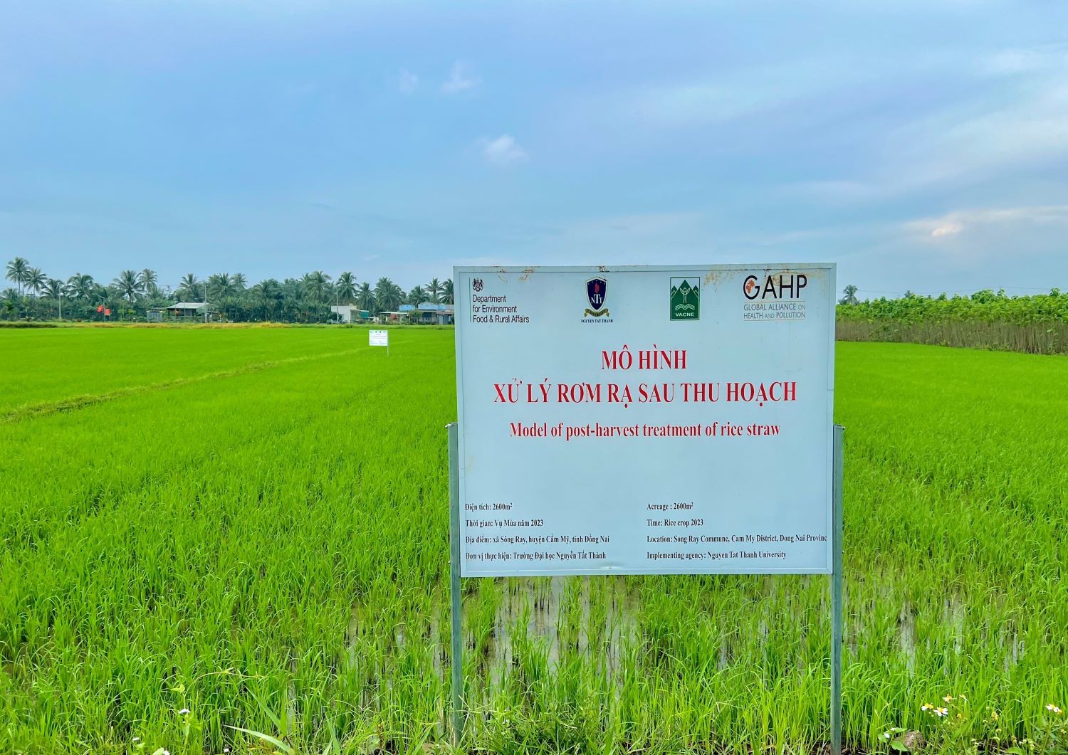 Phát triển chế phẩm vi sinh xử lý rơm rạ sau thu hoạch tại đồng ruộng