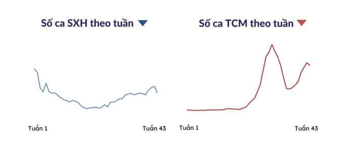 TP. Hồ Chí Minh: Số ca mắc tay chân miệng tăng, sốt ca sốt xuất huyết giảm