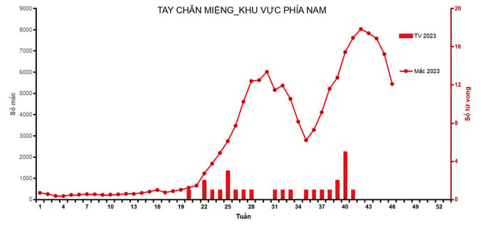 TP. Hồ Chí Minh: Số ca mắc bệnh tay chân miệng tại 20 tỉnh, thành phố đang có xu hướng giảm