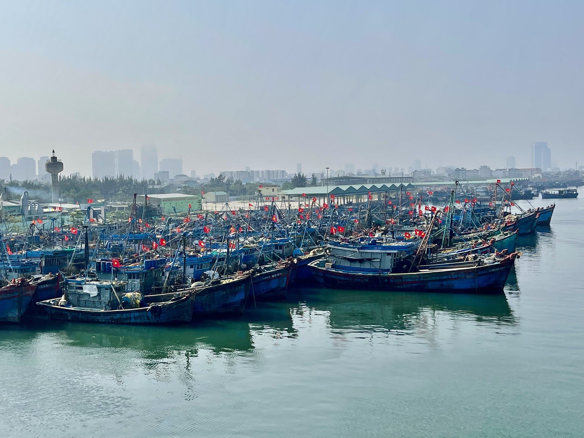 Ngư dân miền Trung rộn ràng chuyến biển cuối năm