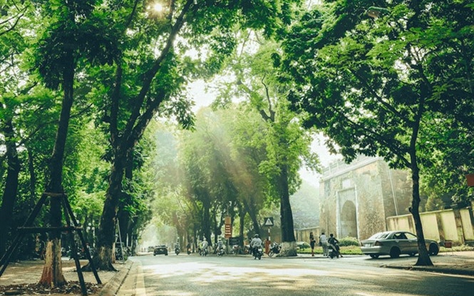 Dự báo thời tiết ngày 21/5: Miền Bắc nắng gián đoạn, Tây Nguyên và Nam Bộ có mưa