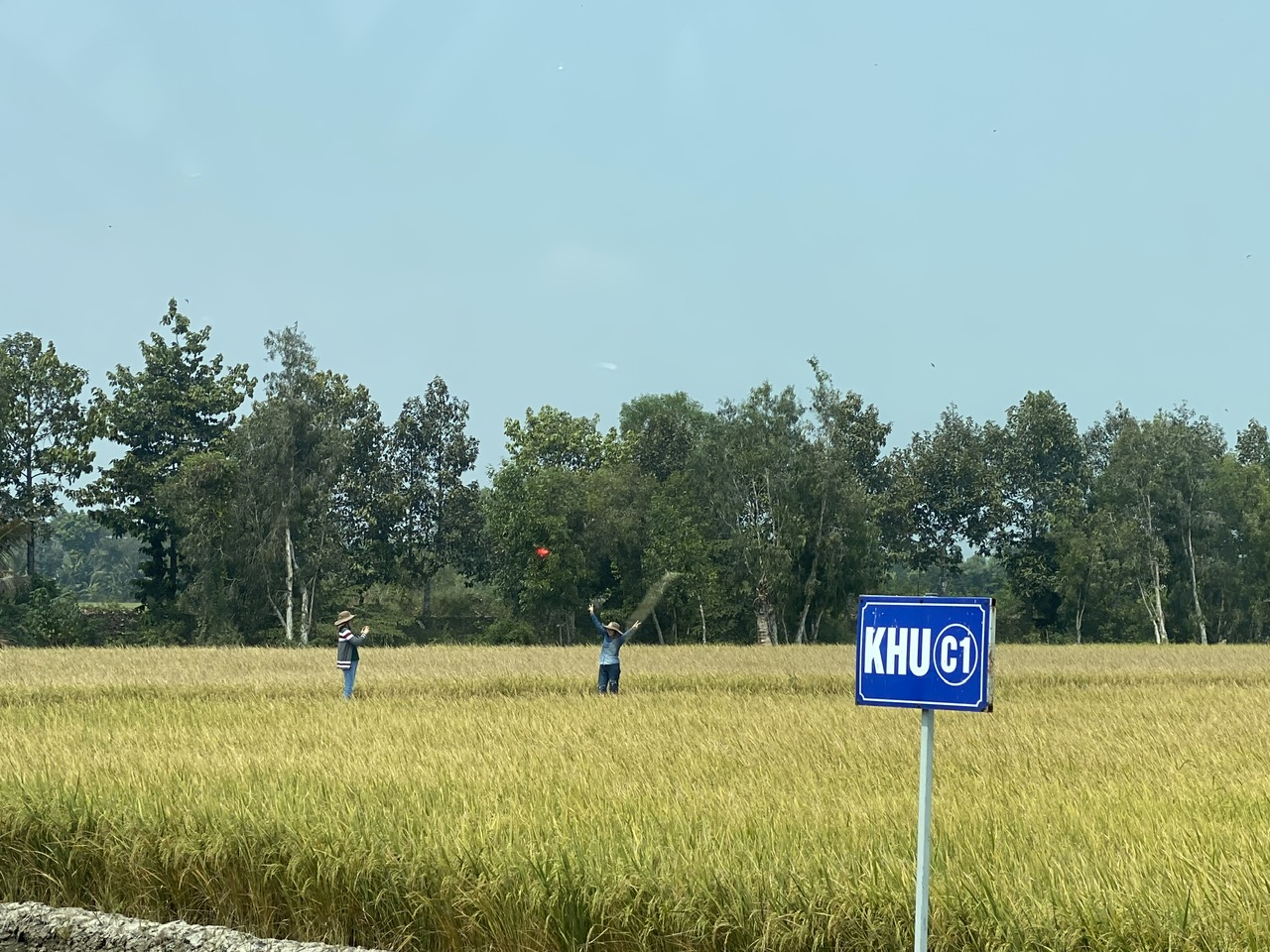 Xuất khẩu nông sản tăng gần 24%