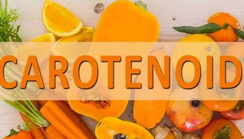Những chất dinh dưỡng thực vật giúp tăng tuổi thọ và chống viêm