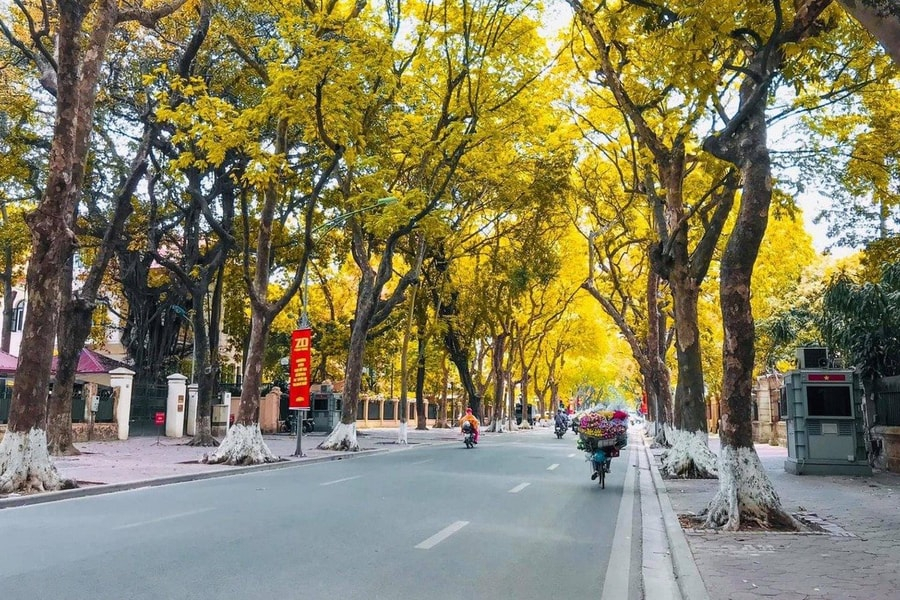Dự báo thời tiết ngày 26/10: Miền Bắc ngày nắng, trời mát mẻ, Trung Bộ có mưa to