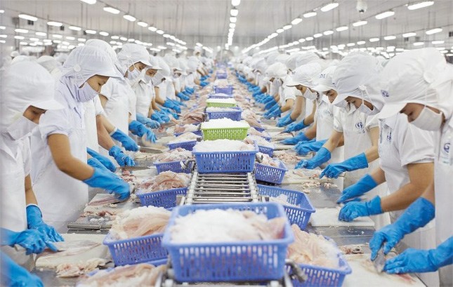 Standard Chartered nâng mức dự báo tăng trưởng GDP năm 2024 của Việt Nam