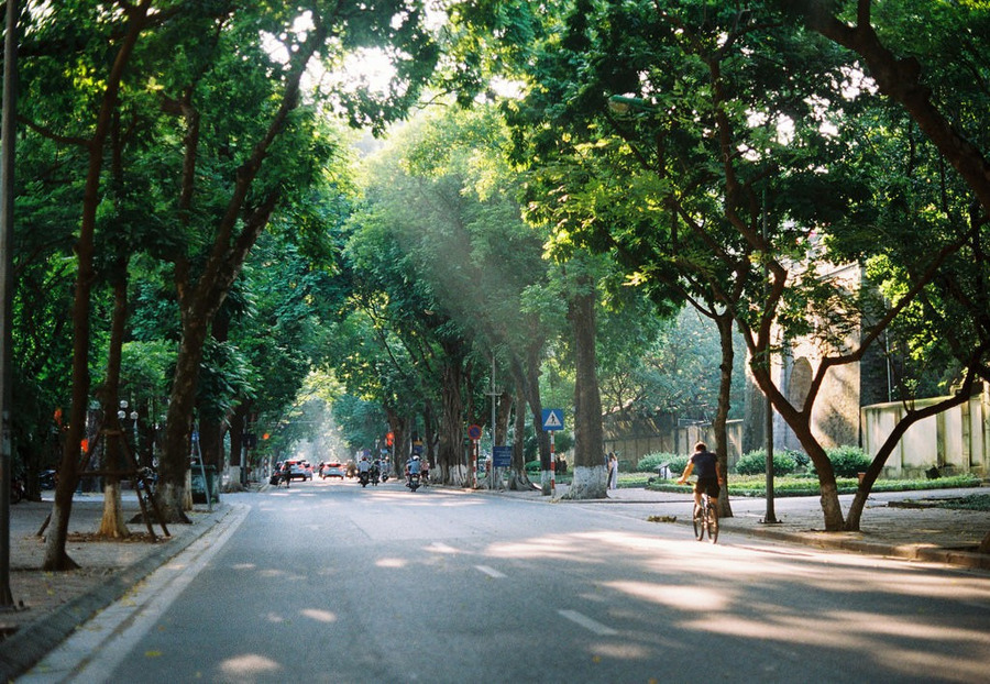 Dự báo thời tiết ngày 2/11: Miền Bắc ngày nắng, đêm và sáng lạnh
