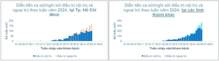 TP. Hồ Chí Minh: Tình hình dịch bệnh sởi tính đến tuần 45