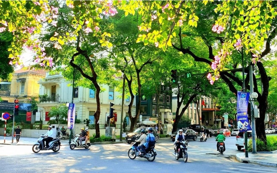 Dự báo thời tiết ngày 10/11: Miền Bắc ngày nắng, miền Nam có mưa rào và dông vài nơi