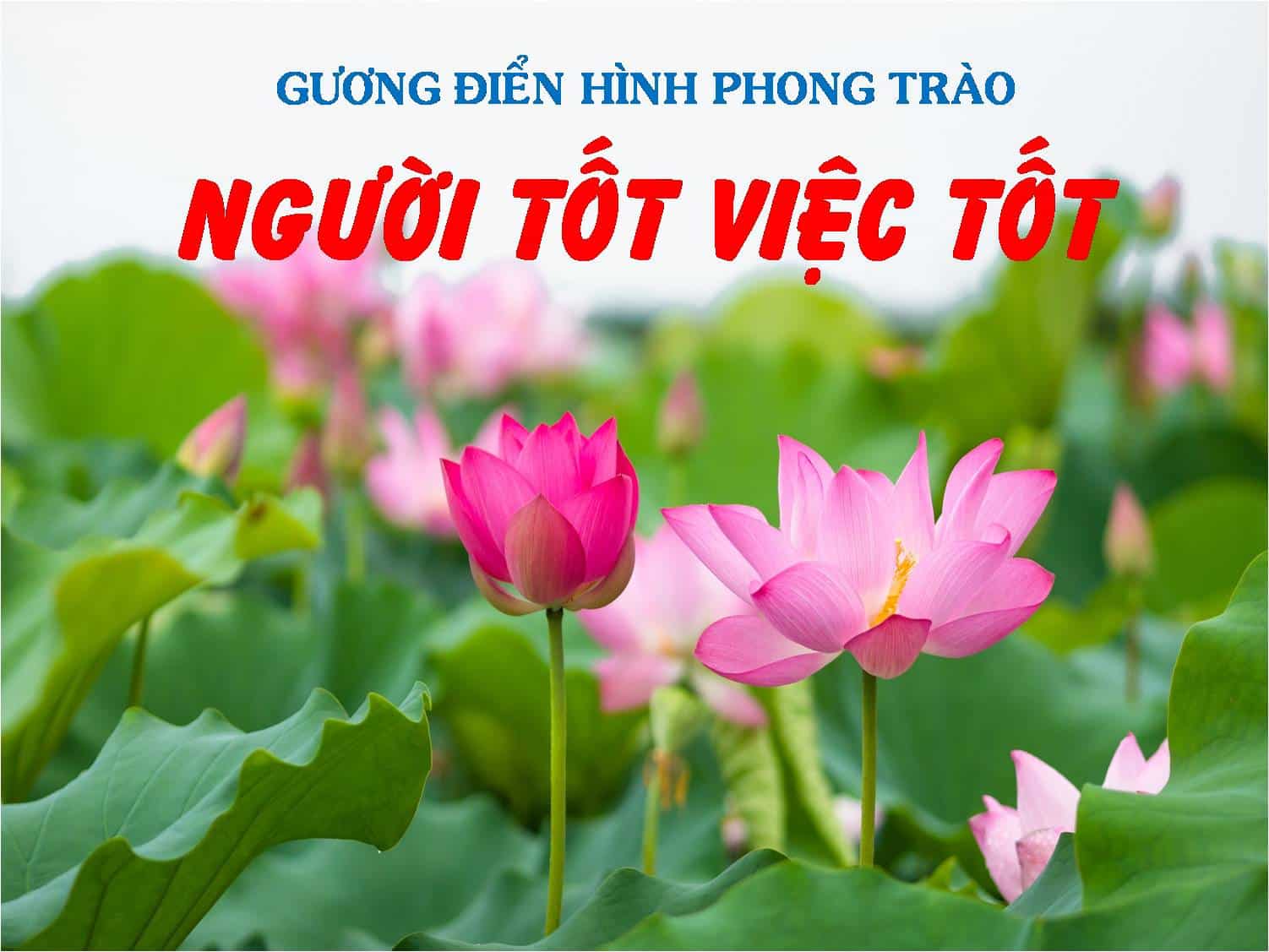 Hà Nội tặng danh hiệu “Người tốt, việc tốt” cho 5 cá nhân