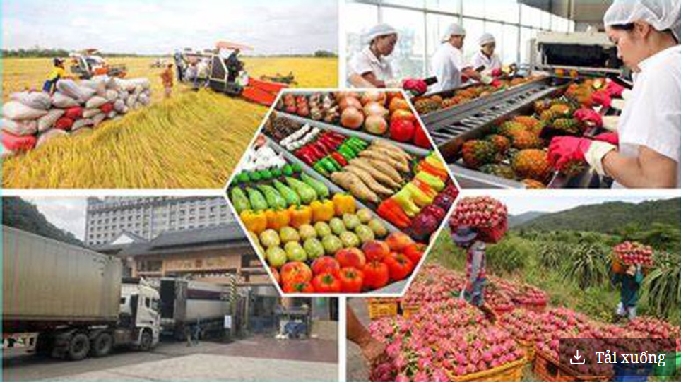 Giá trị gia tăng các sản phẩm nông nghiệp kỳ vọng đạt trên 4%