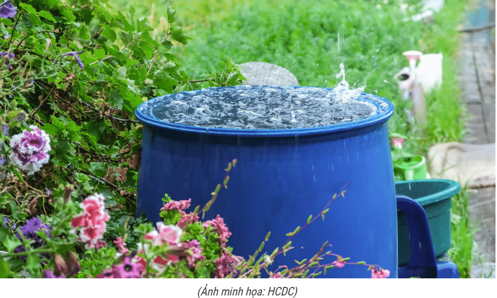 Lợi ích và những rủi ro tiềm ẩn khi sử dụng nước mưa