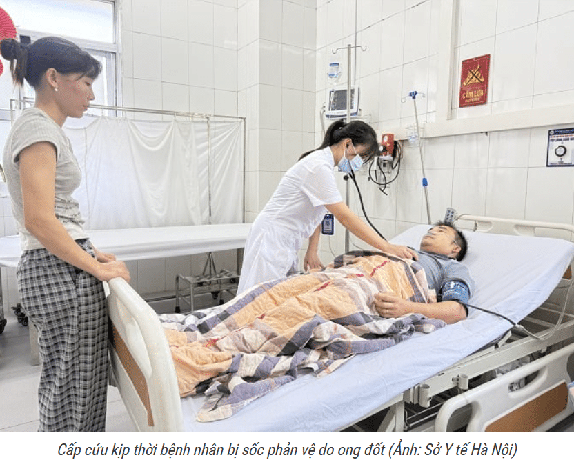 Hà Nội: Cấp cứu kịp thời bệnh nhân bị sốc phản vệ do ong đốt