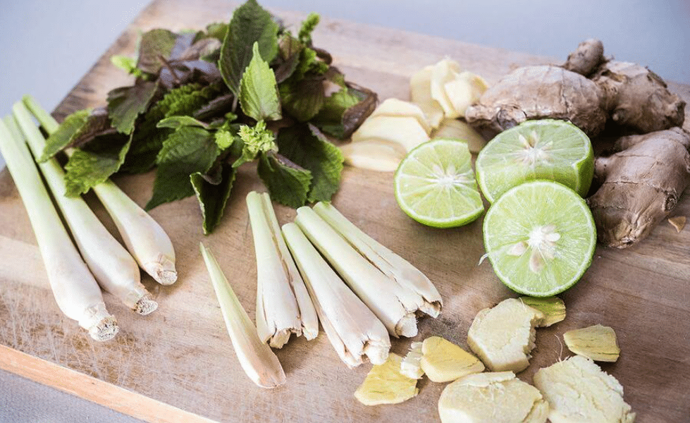 Uống nước lá tía tô với chanh, sả, gừng có tác dụng gì?