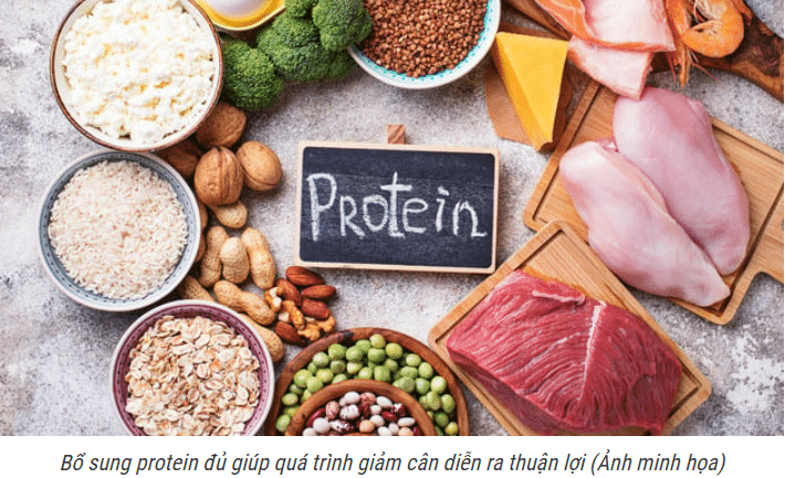 Tại sao protein giúp giảm cân