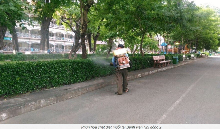 TP Hồ Chí Minh có số ca tử vong do sốt xuất huyết cao nhất khu vực phía Nam