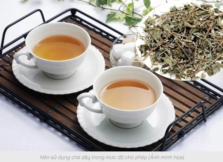 Cây chè dây có tác dụng gì?
