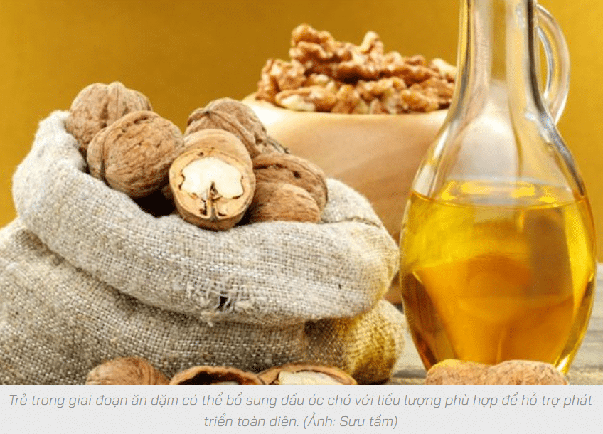 Những ai nên sử dụng dầu óc chó?