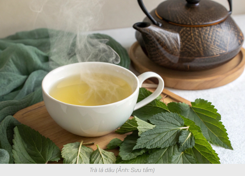 Lá dâu hỗ trợ kiểm soát đường huyết cho người tiểu đường