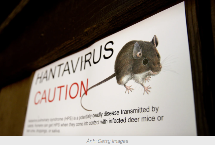 3 ca tử vong liên quan hantavirus: Căn bệnh nguy hiểm thế nào?